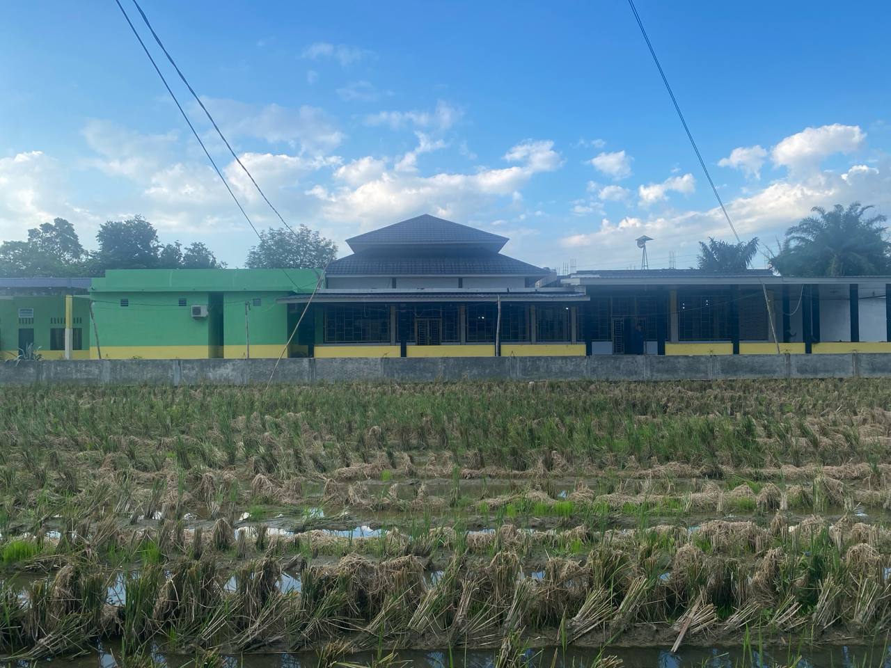 Kampus pesantren dilihat dari sawah
